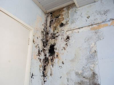About water damage restoration service - burst pipe water damage experts in Charleston